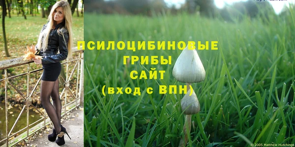таблы Магас