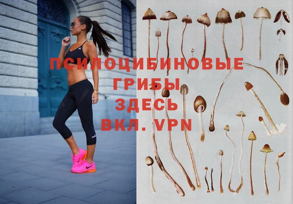 гашиш Магадан