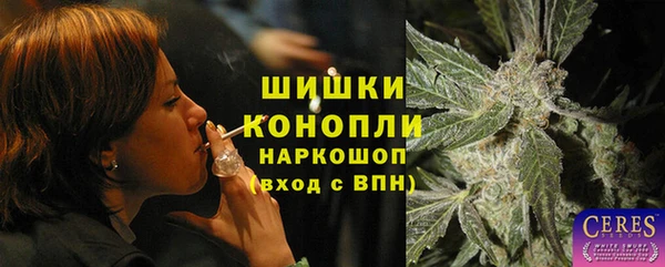 крисы Майский