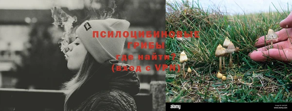 крисы Майский