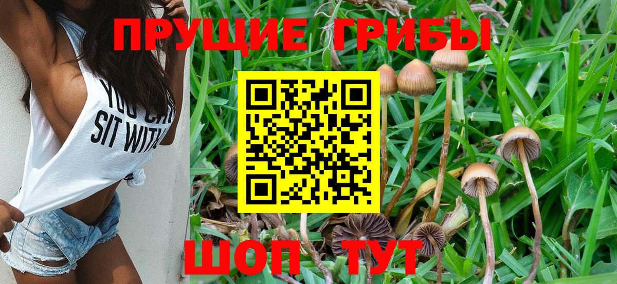 Галлюциногенные грибы Magic Shrooms  Георгиевск 