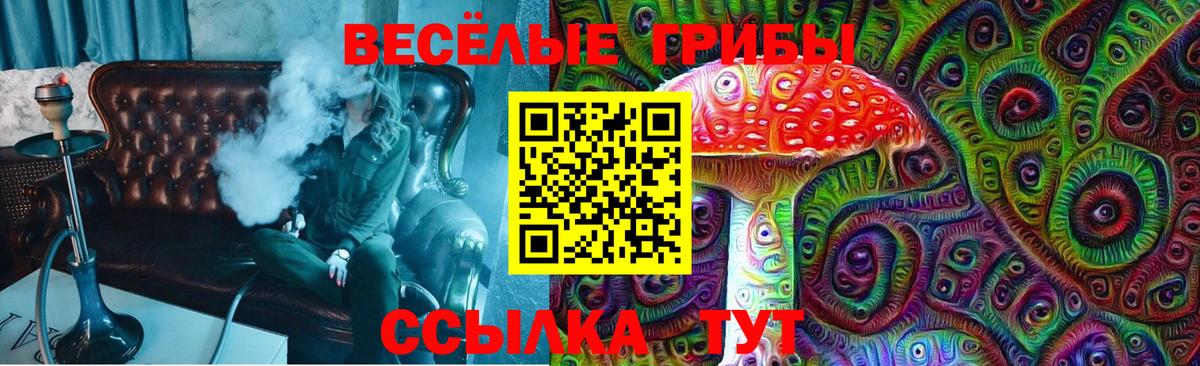 Георгиевск  Галлюциногенные грибы ЛСД  Вход с VPN 
