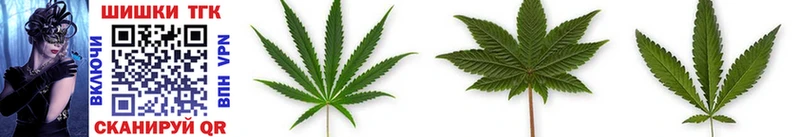 где можно купить наркотик  Георгиевск  Марихуана OG Kush 